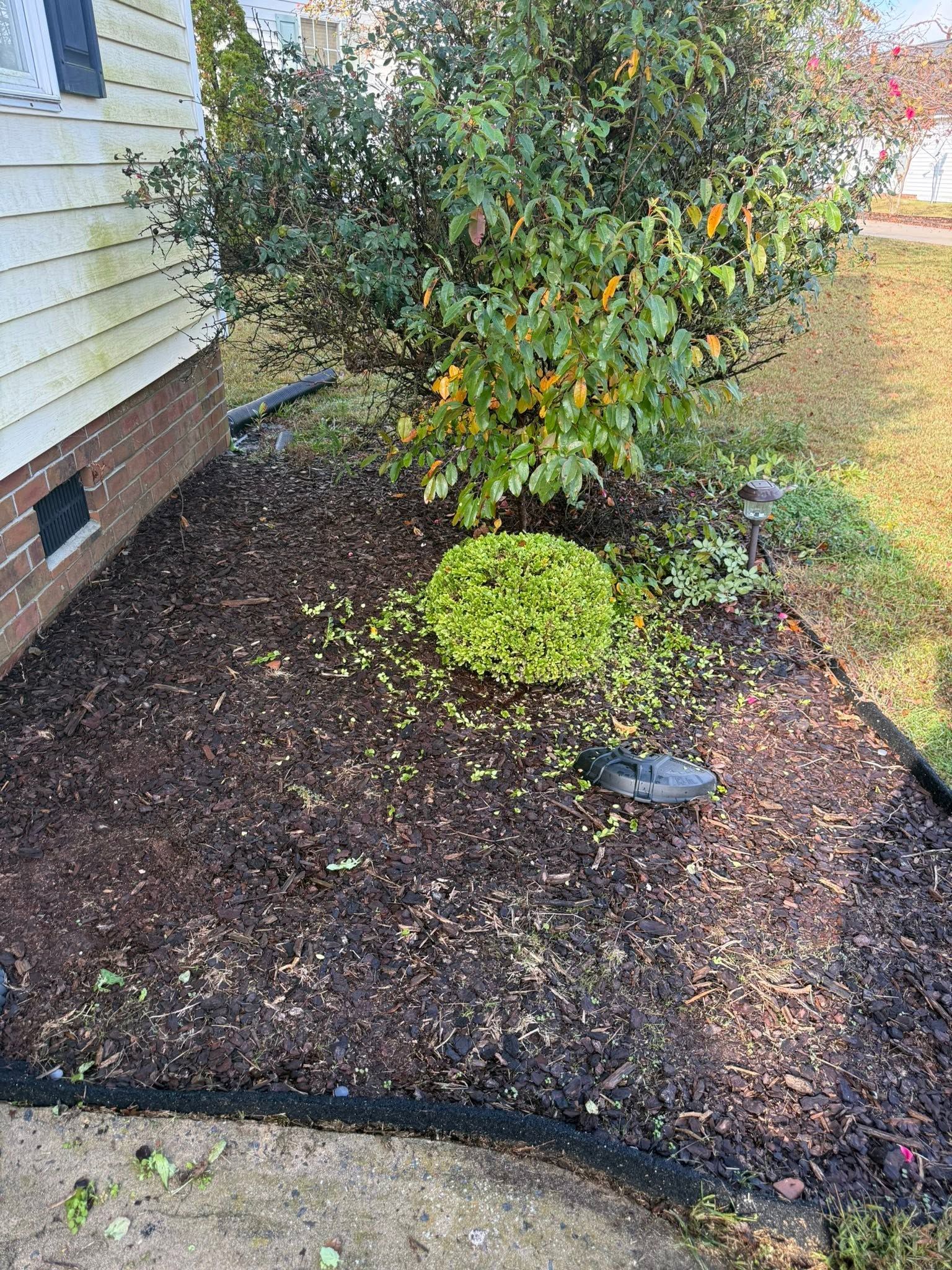 Before and after example - before